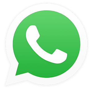 botao-whatsapp-no-seu-site-mercadobinario-300×294 (1)